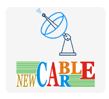 Bizcare Logo